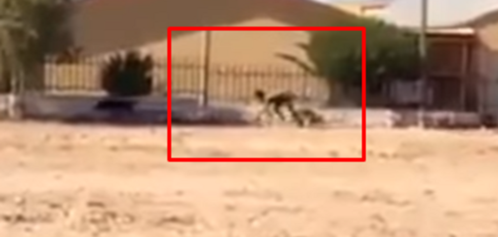 Человек-собака