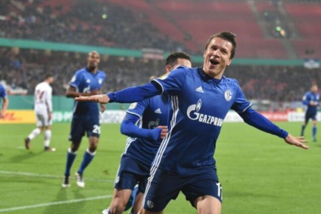 Коноплянка Шальке