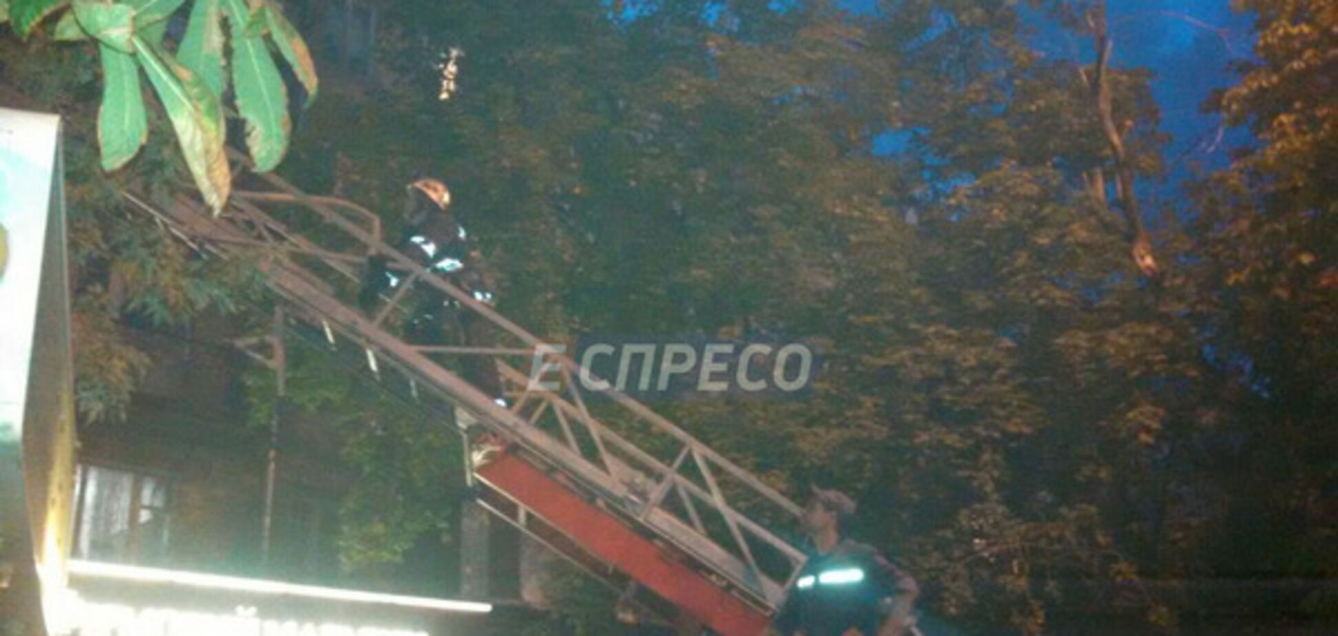 Пожежа в житловому будинку в Києві