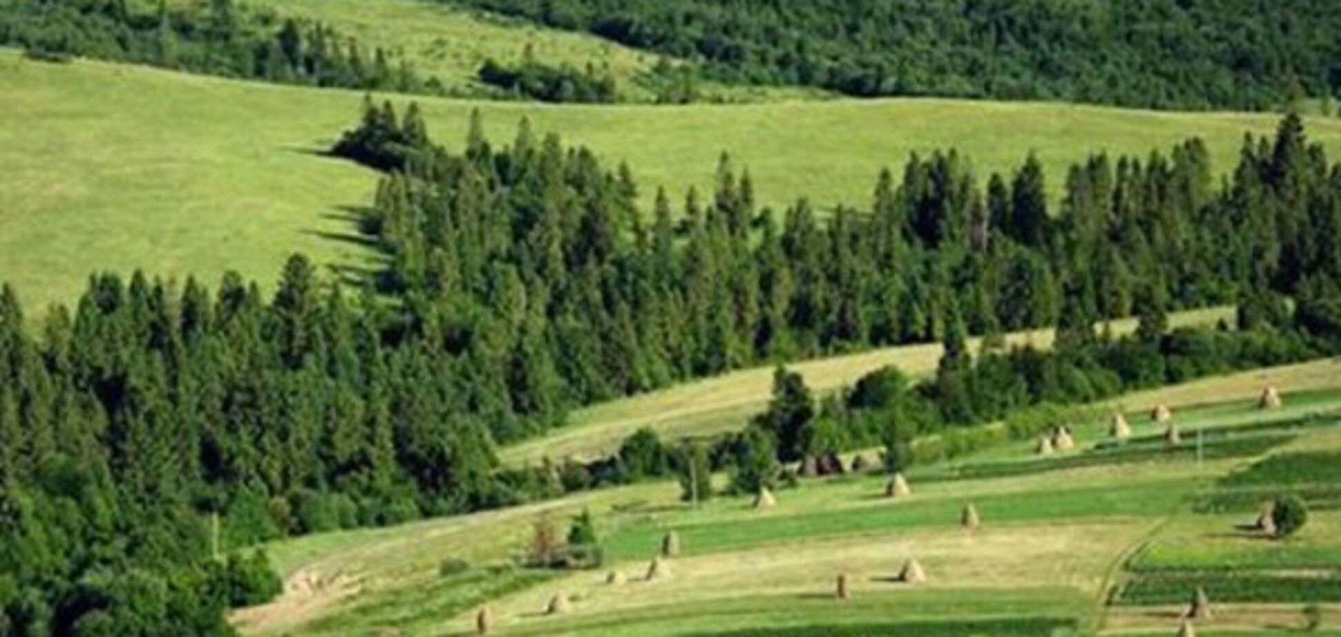 Карпати