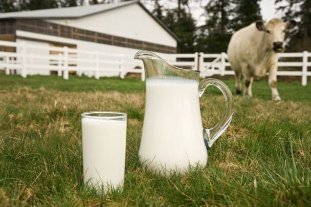 молоко, корова