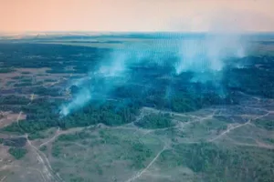 Пожар на полигоне