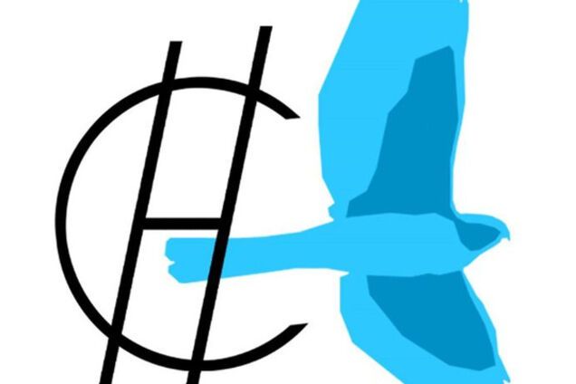 Партия Савченко