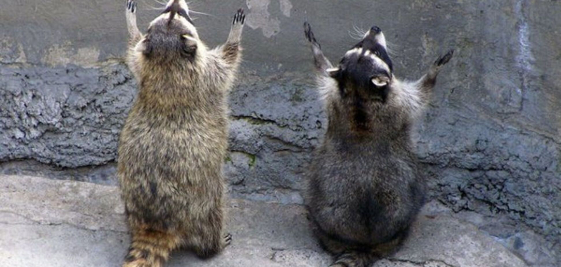 Приготовьтесь к грозам: Гидрометцентр показал погоду на 3 июля