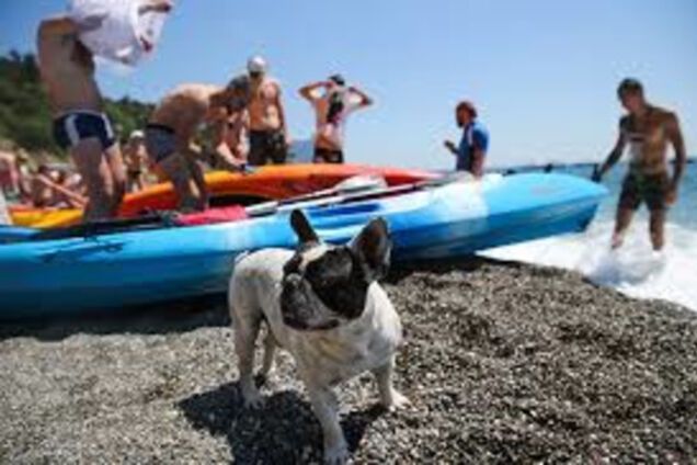 В мире русских животных в заповедном Крыму