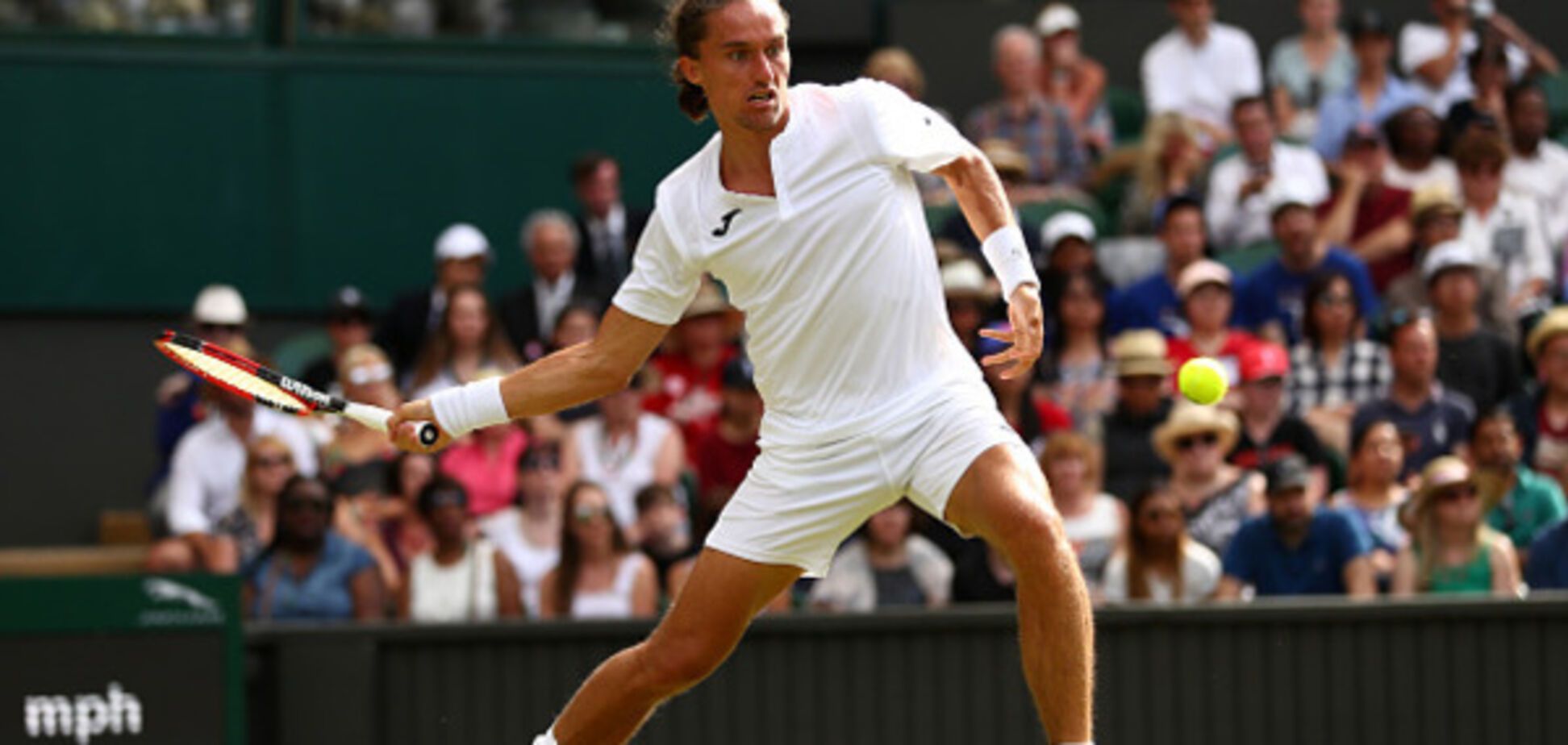 Александр Долгополов