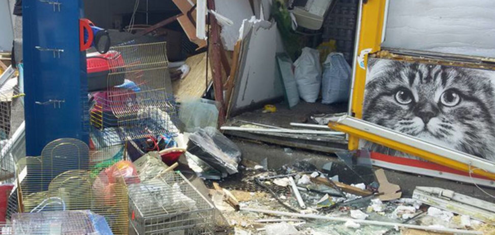 'Животные погибли!' Появились ужасающие подробности сноса рынка в Киеве