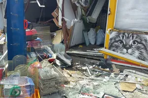 "Животные погибли!" Появились ужасающие подробности сноса рынка в Киеве