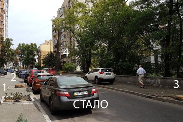 Уничтоженные деревья