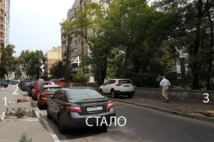 Уничтоженные деревья