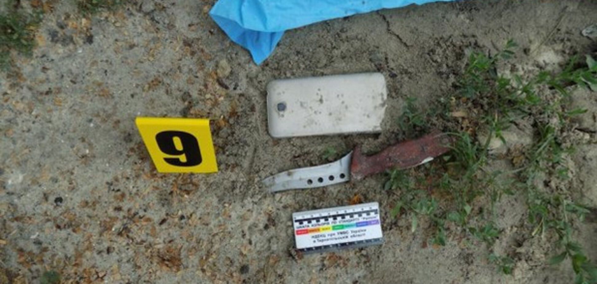 Ірина Мукоїда вбивство