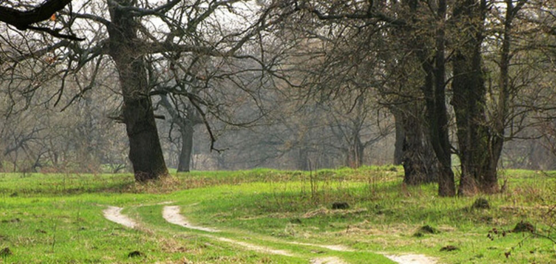 Жуков остров