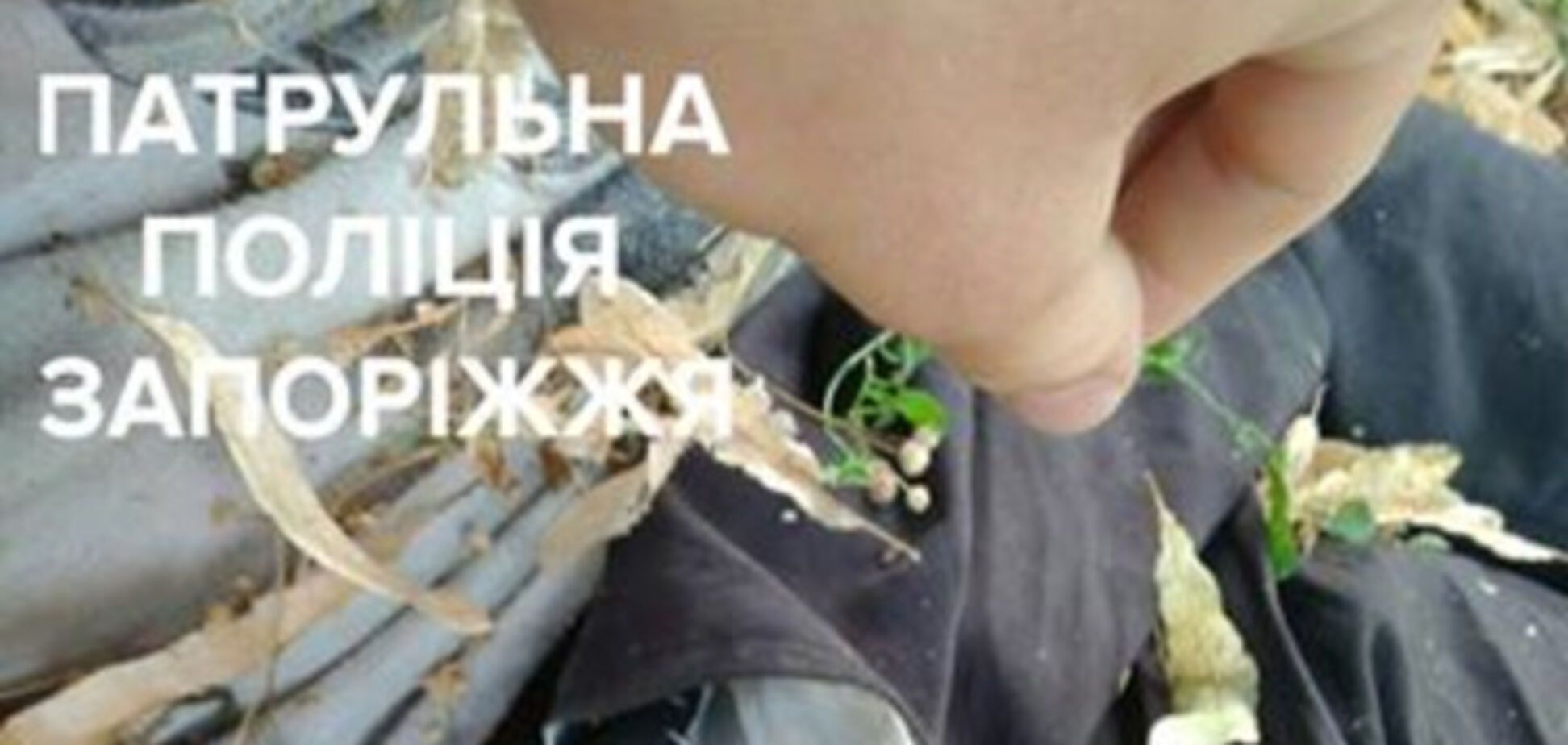 В Запорожье уличные грабители действуют по старым схемам