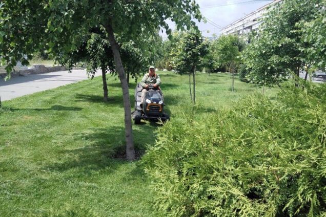 Днепр амброзия