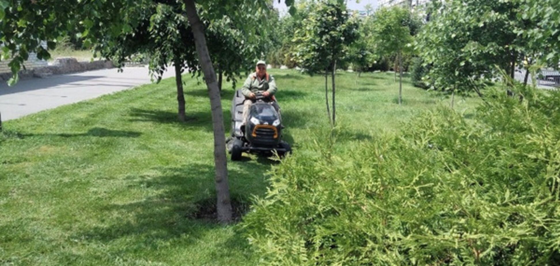 Дніпро амброзія