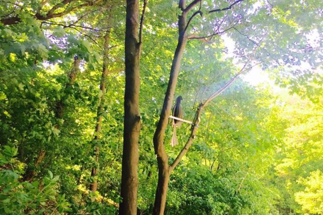 Памятник попугаю в Киеве