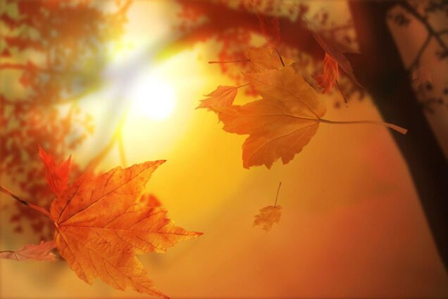 Самые модные цвета осени