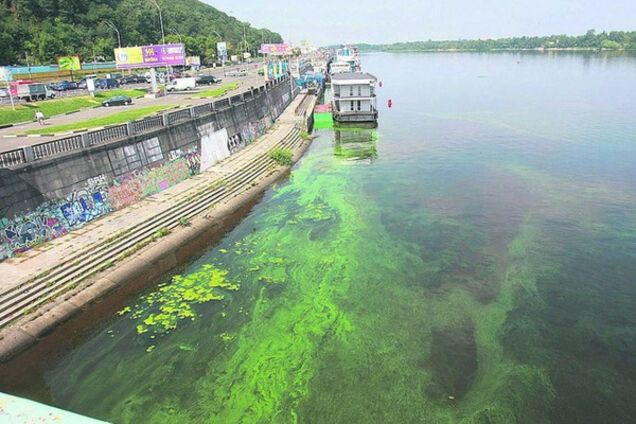 Вода в Днепре