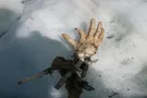 Во французских Альпах обнаружена жуткая находка, пролежавшая во льдах более 50 лет