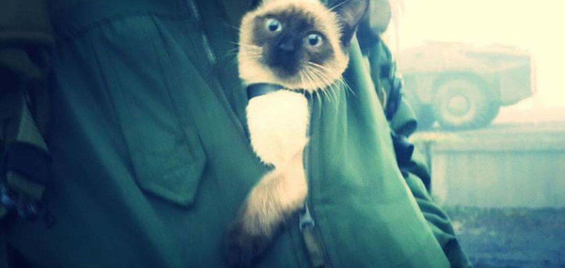 Війна на Донбасі