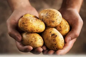 5 продуктів, які ви напевно їсте неправильно