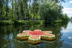 Плавучая клумба