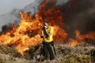 Лесные пожары в Греции