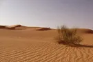 Пустыня