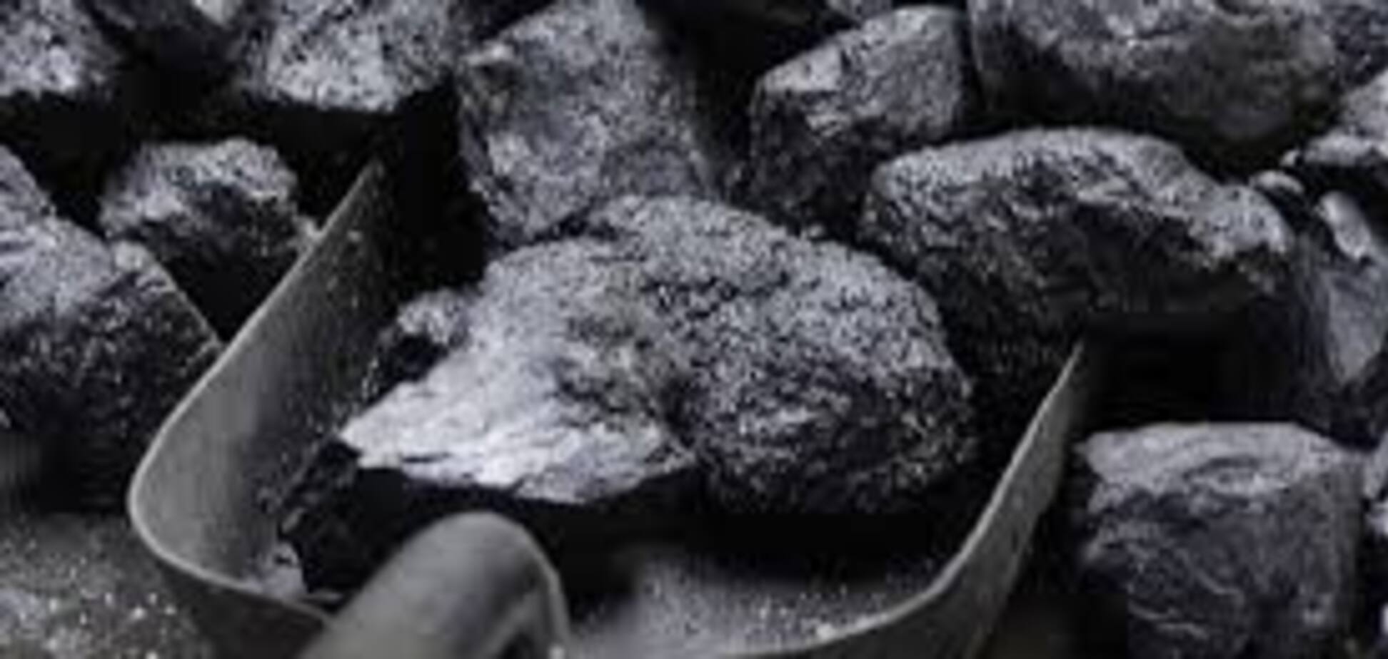 Эксперт раскритиковал контракт на поставку в Украину американского угля