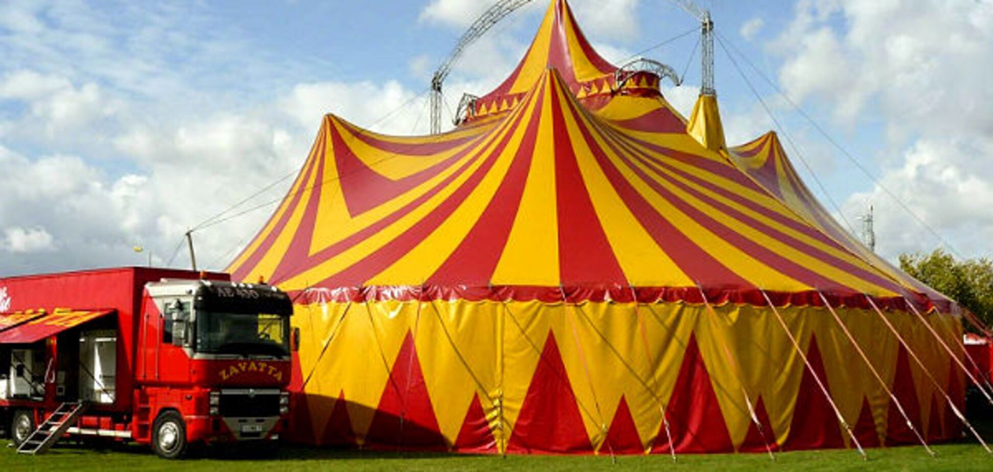 В Украине ограничили использование диких животных в шапито