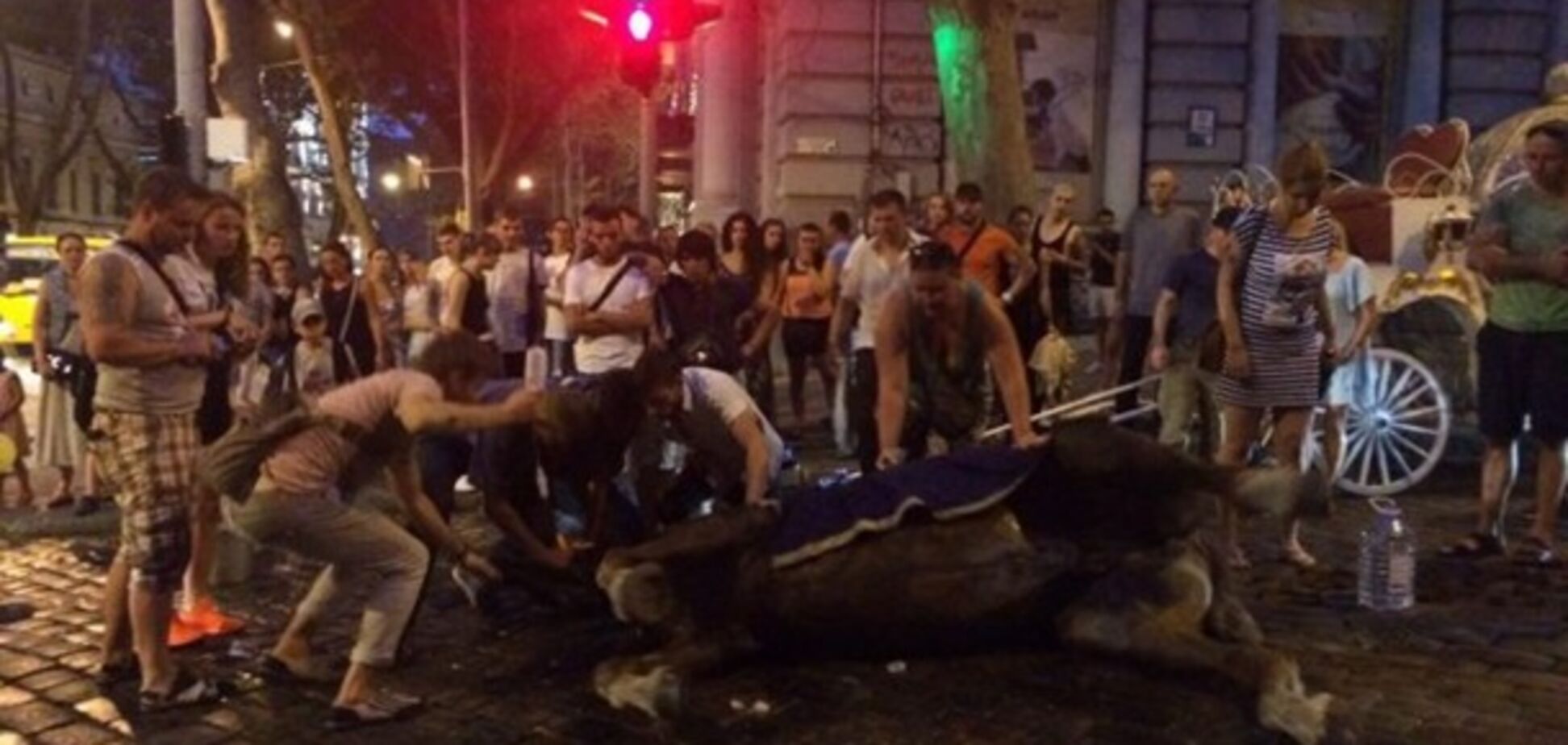 Лошадь Одесса