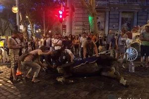 Лошадь Одесса