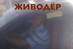 Привязал к авто и тянул: в Славянске живодер жестоко убил собаку на глазах жены и детей. Фото и видео 18+ 