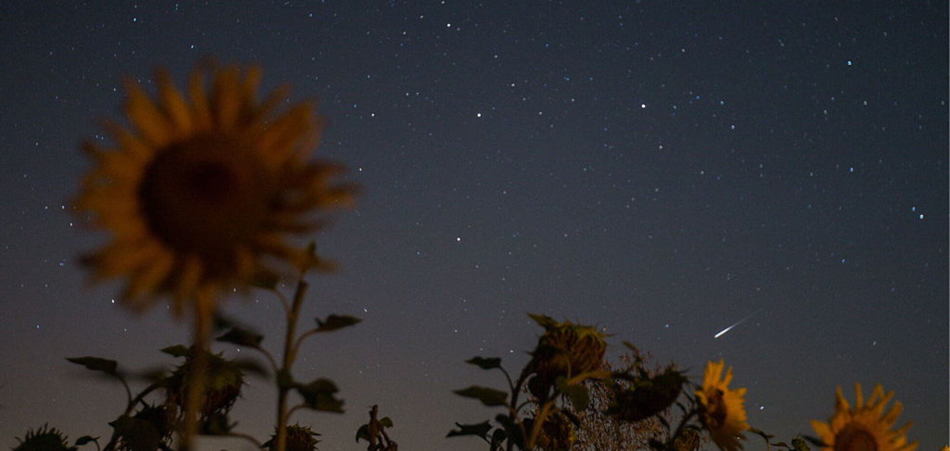 На выходных украинцы увидят сразу два космических явления