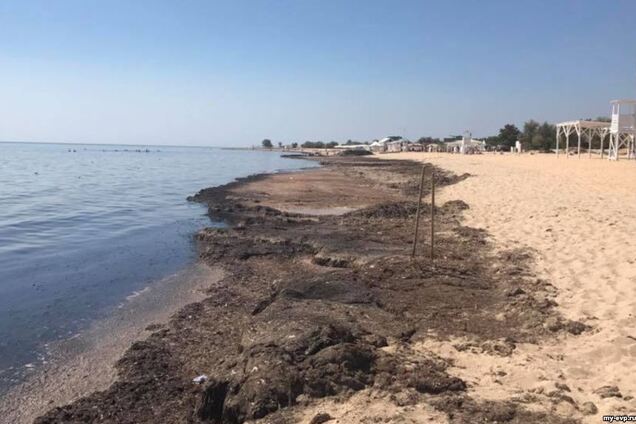 Пляж Евпатории