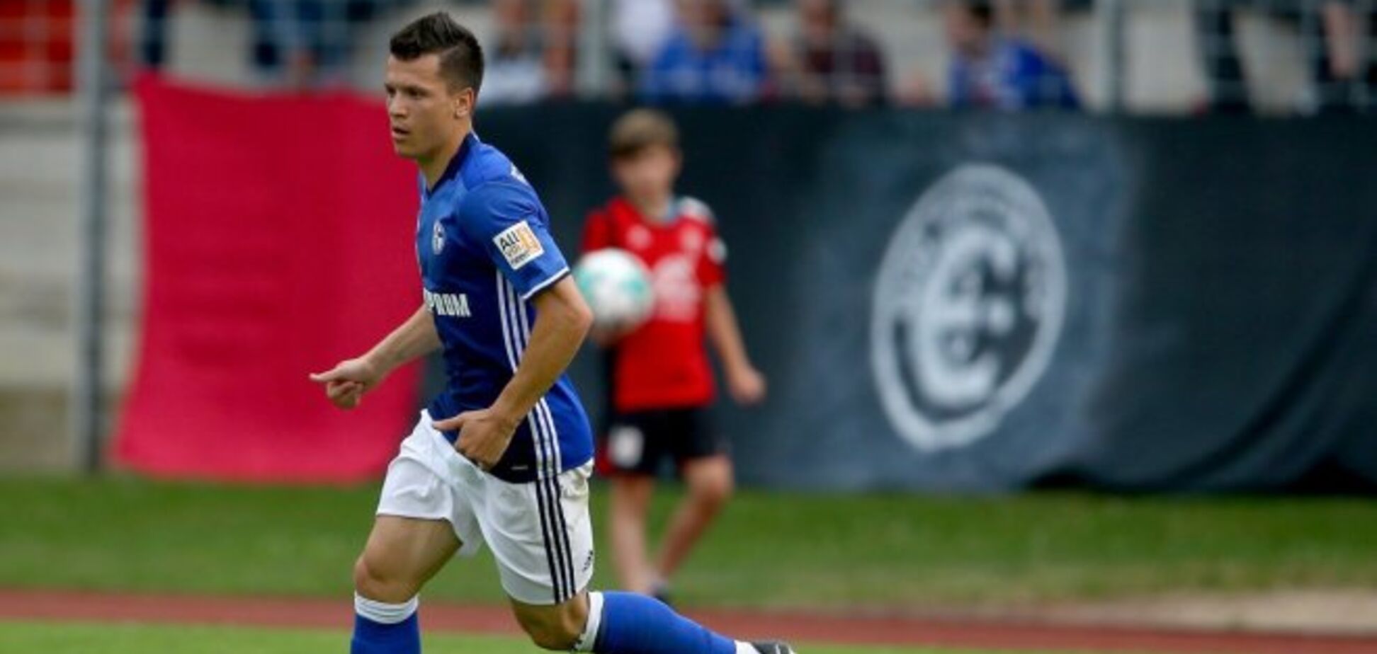 Коноплянка Шальке