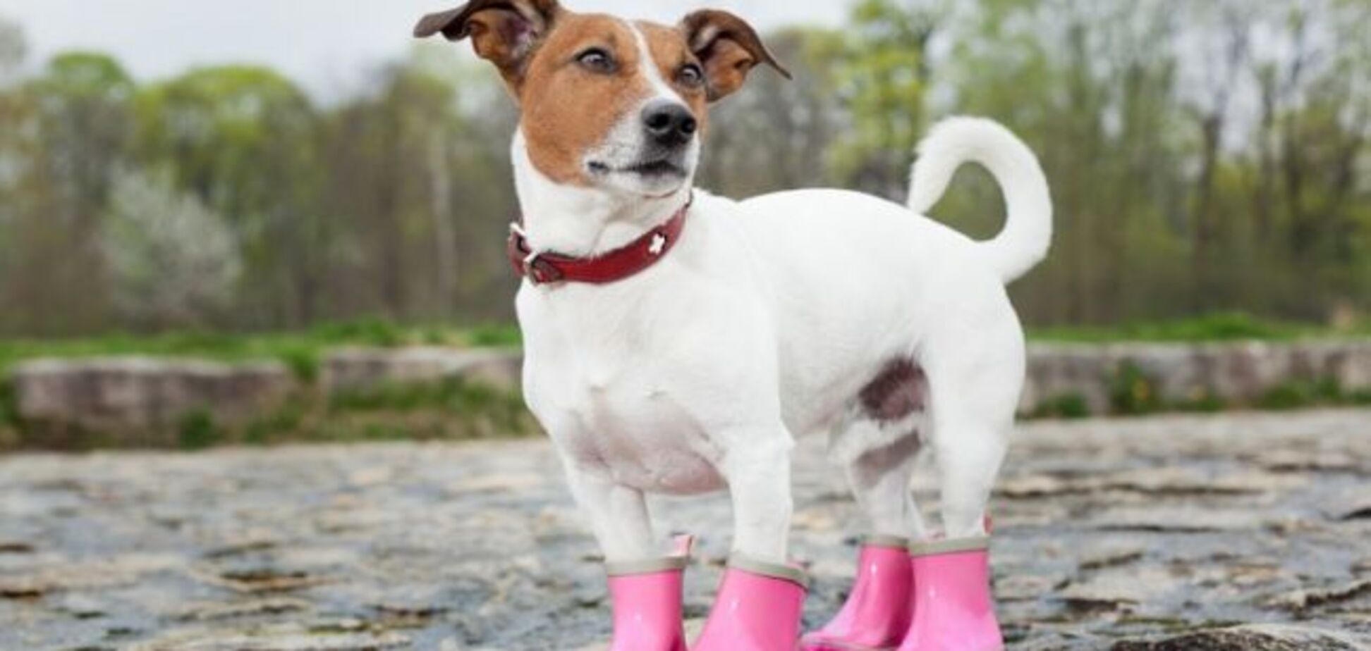 Очікуються потужні зливи: з'явився прогноз погоди на початок осені в Україні