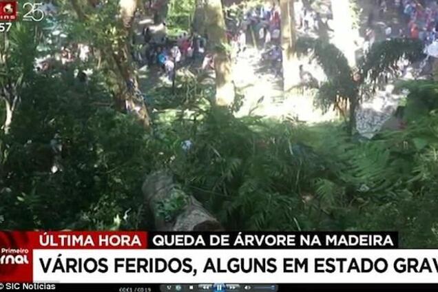 Трагедія на Мадейрі