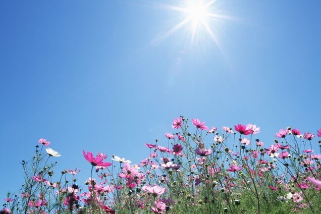 Погода в Украине