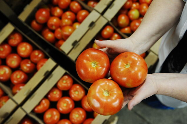 'Втоптувати в бруд': у Росії висміяли 'війну' з українськими томатами