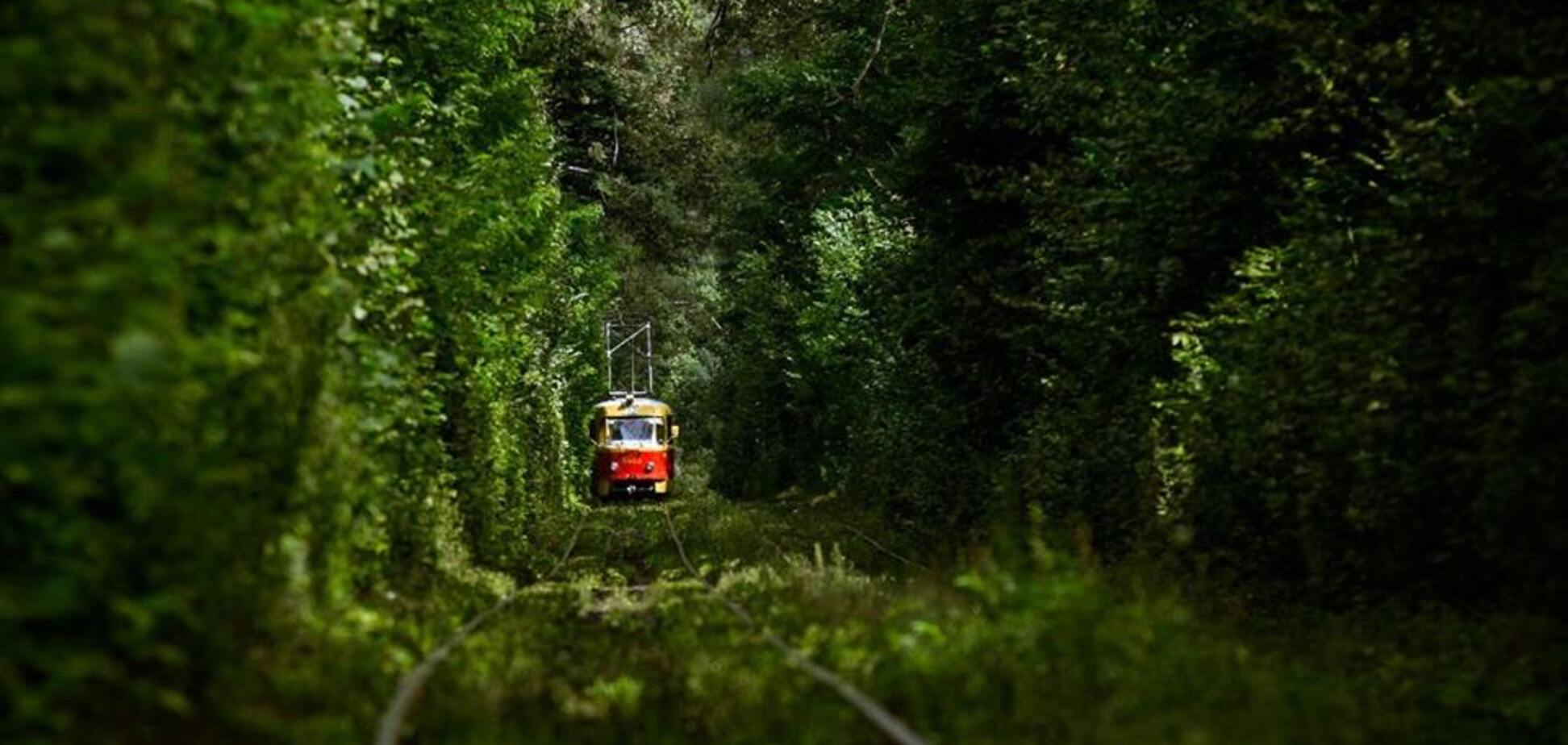 Под Киевом могут закрыть 40 санаториев: эколог предупредил об опасности