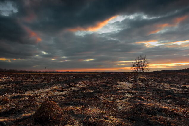 'Випалена земля': терористи застосували нову тактику ведення війни на Донбасі