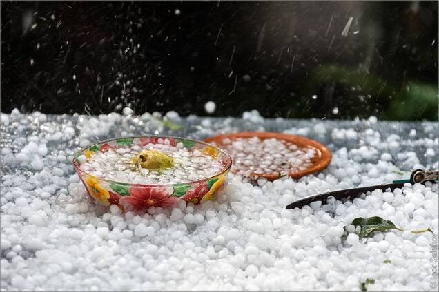 Град во Львове