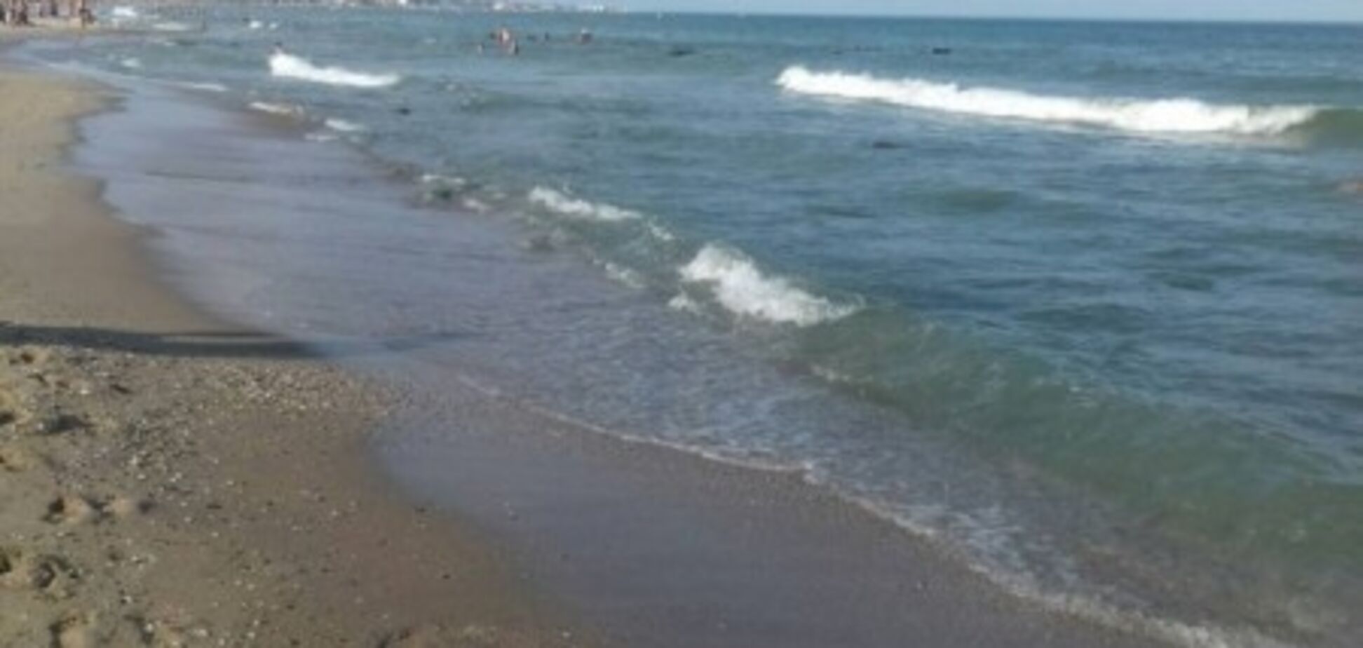 В Україні на березі чорноморського курорту знайшли рідкісну тварину