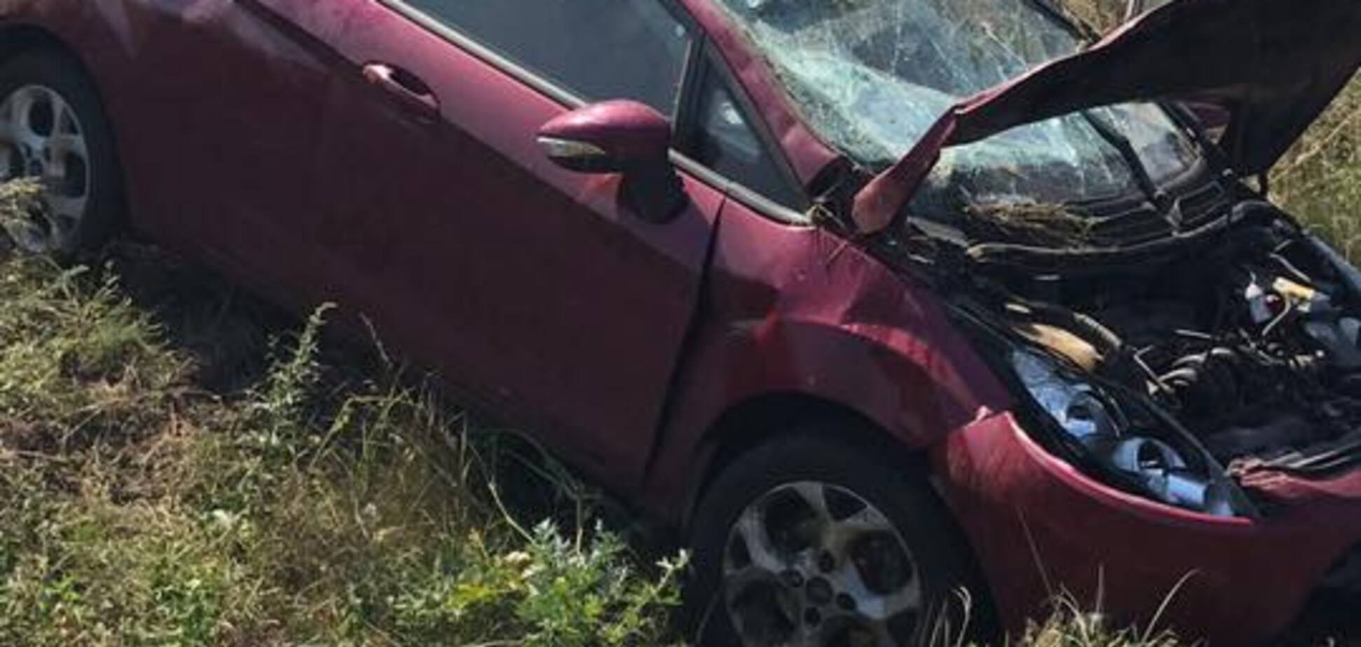 'Прекратите смерти': волонтер попала в серьезное ДТП на печально известной трассе