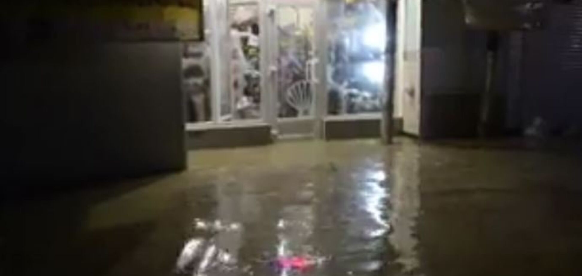 Як Кримнаш фюрера зустрічав