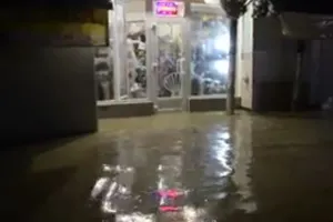 Як Кримнаш фюрера зустрічав