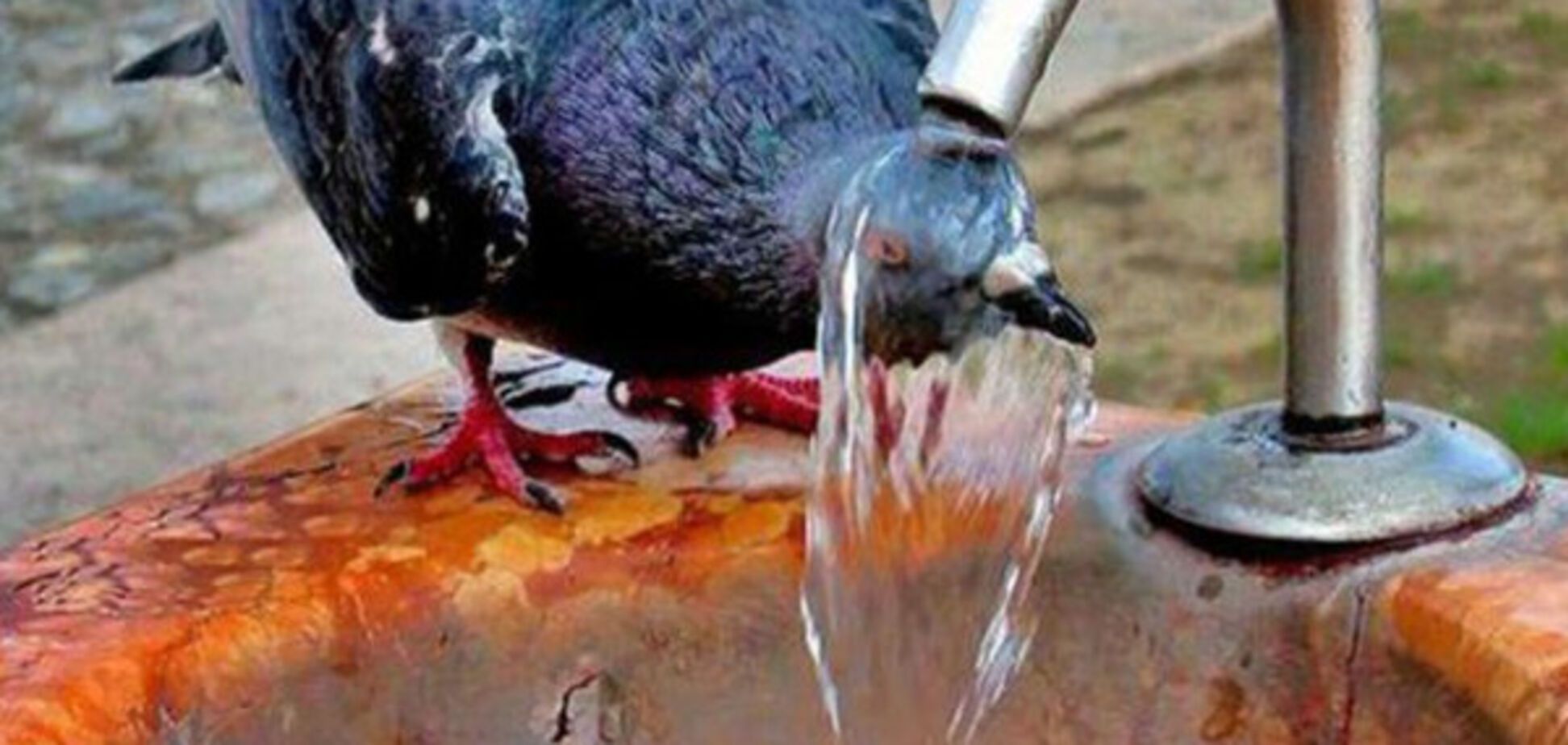 Жара в Украине