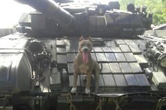Російський танк на Донбасі