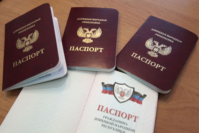 паспорт ДНР